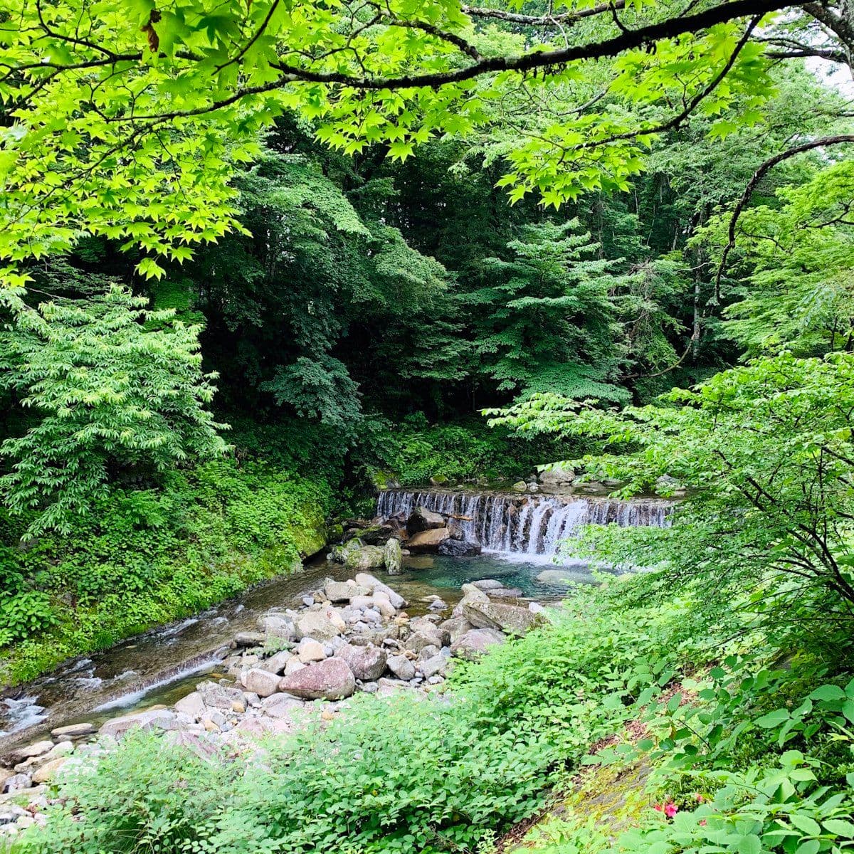 Oirase Gorge in Autumn: How to Walk Japan's Most Spectacular Leaf-Viewing Trail