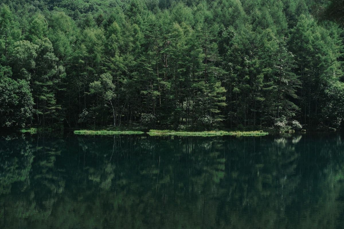 Aomori in August: Festivals, Forests, and the End of Japan's Road