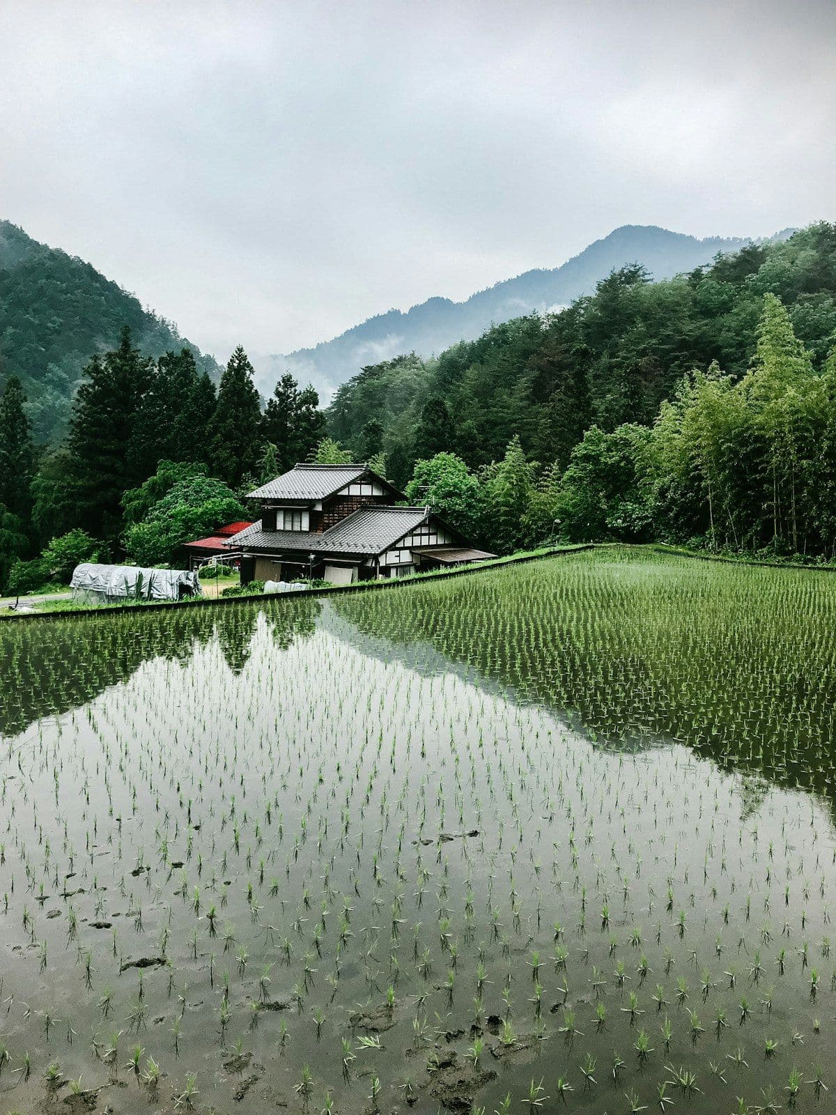 The Perfect 10-Night Tohoku Itinerary from London and Sydney