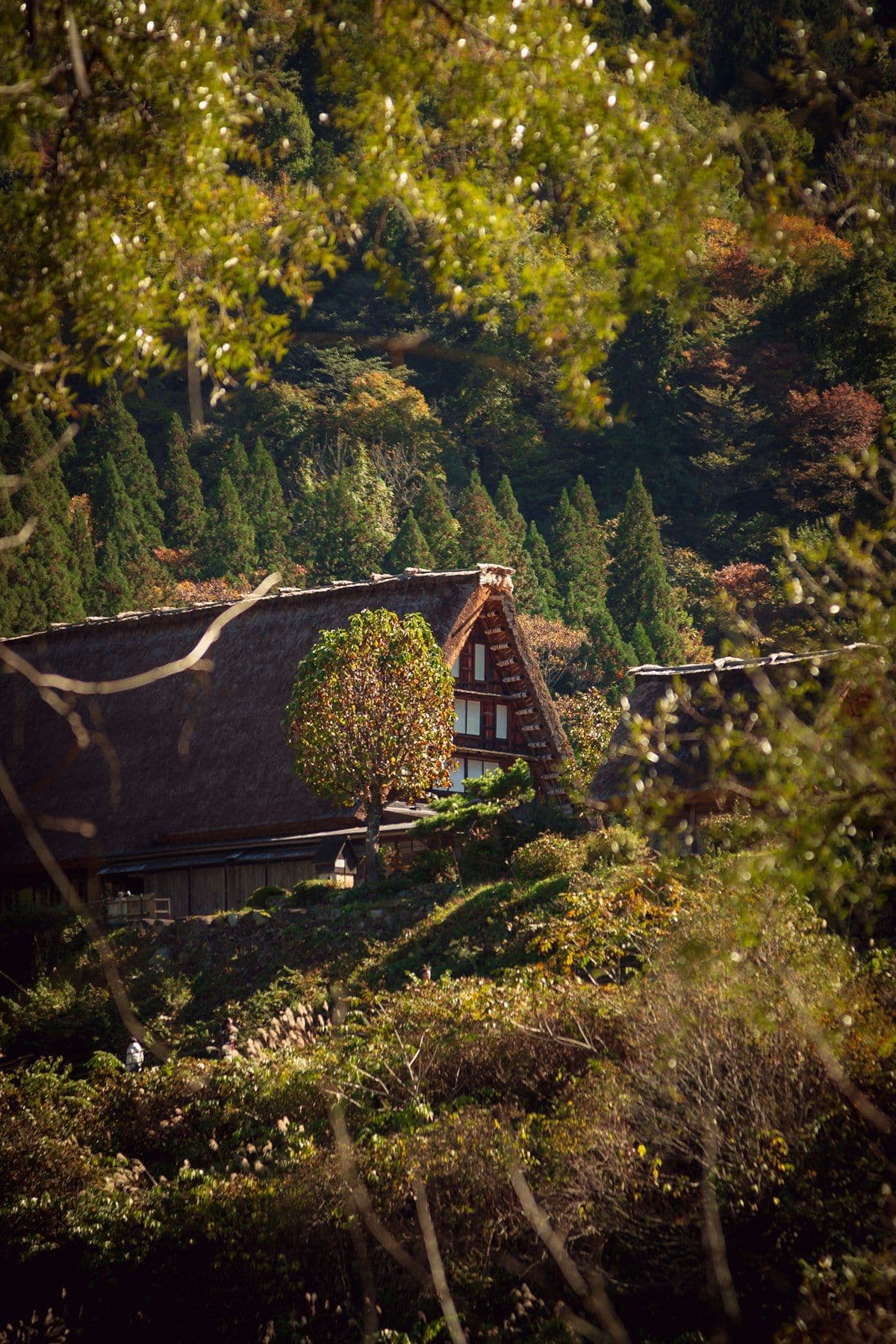 The Perfect 7-Night Tohoku Itinerary from Singapore