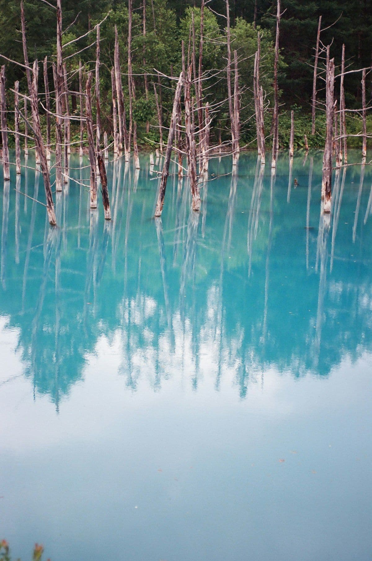 Tohoku vs Hokkaido: Which Region Should You Choose?
